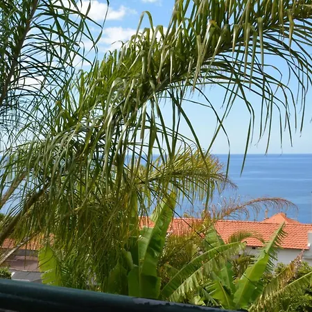 Holiday home Slice Of The Atlantic Funchal (Madeira)